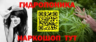 эйфоретик Ставрополь