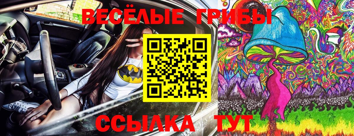 Павловский Посад  Псилоцибиновые грибы Cubensis  Вход с VPN 